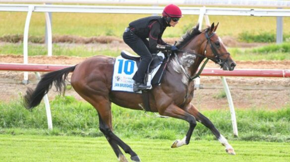 Melbourne Cup favourite Jan Brueghel ruled out after failing veterinary inspection