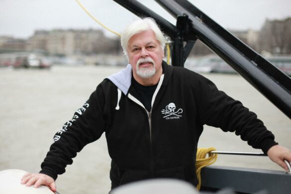 Paul Watson, founder of Sea Shepherd, requests political asylum in France