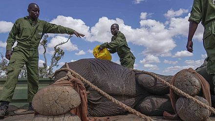 Pics of the day: October 15, 2024