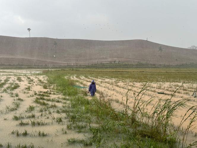 A farmer inspects his flooded rice field in Cagayan province on November 8, 2024.