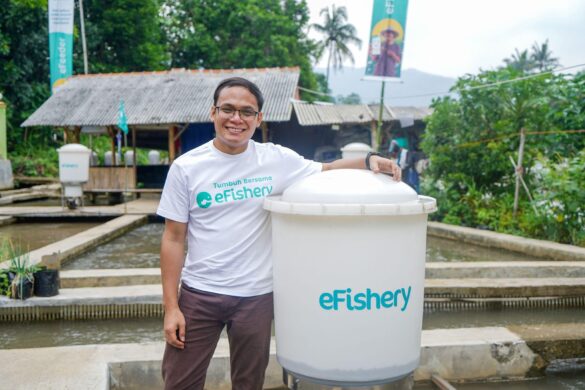 How the eFishery Scandal Will Cause A Ripple Effect on Food Tech in Southeast Asia – Green Queen Media