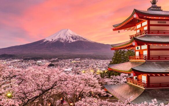 Japan embraces the solo lifestyle – Nikkei Asia