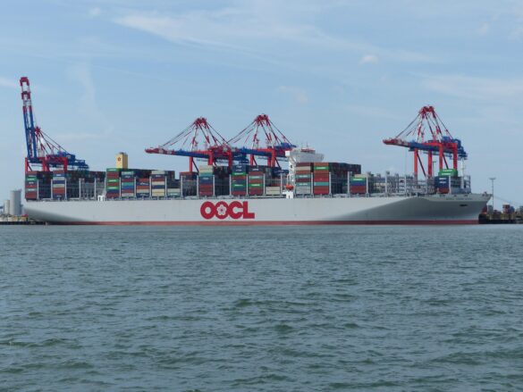 OOCL Launches TLP8 to Speed Up Asia–Mexico Trade – Mexico Business News