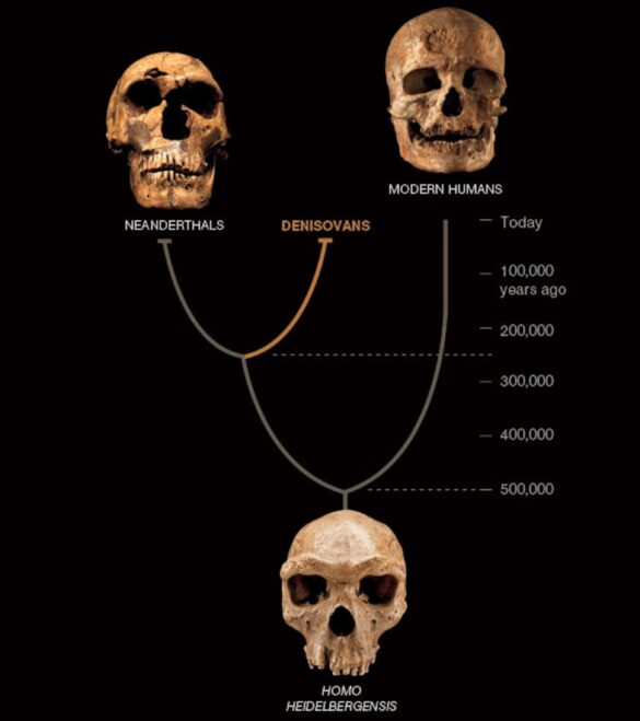 Who were the Denisovans? – Live Science
