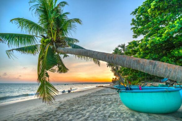Mui Ne: Vietnam’s New Rising Star in Water Sports Tourism – Travel And Tour World