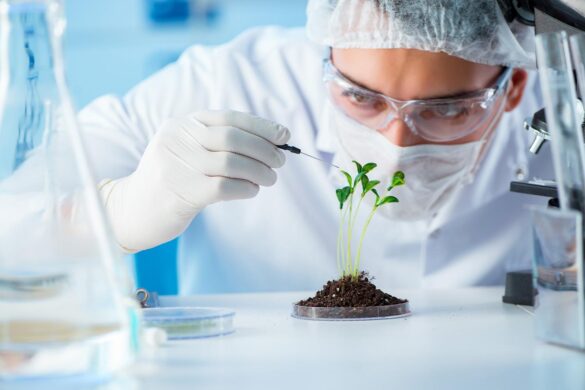 School of Biotechnology at BHU ranks 60th in top 100 science instts in Asia – Times of India