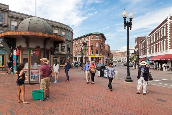 Harvard Square Asian Night Market – Harvard Square Business Association