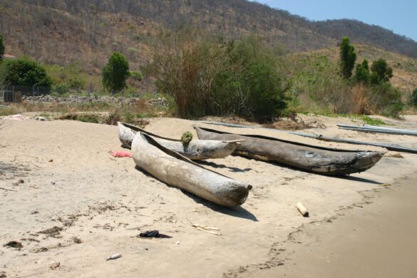 Paleolithic seafaring in East Asia: An experimental test of the dugout canoe hypothesis – Science | AAAS