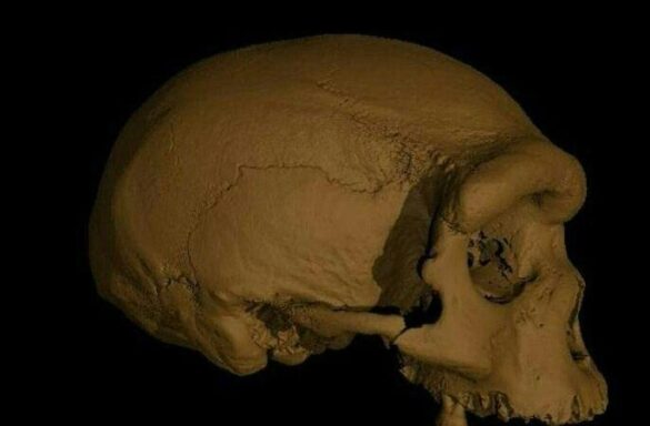 Scientists discover lost ‘big head’ human species in Asia: study – New York Post