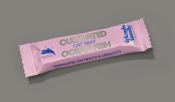 Umami Bioworks pilots cultivated seafood pet food in Europe and Asia – Food and Drink International