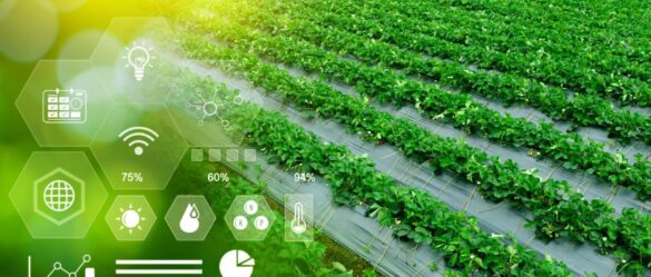CH4 Global selected as international AgTech Startup of the Year – Asia Food Journal