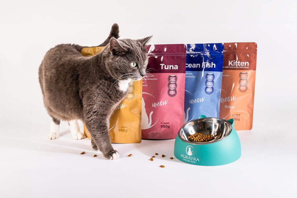 Halal pet food: meat-ing the needs of Southeast Asia’s Muslim ‘pawrents’ – South China Morning Post