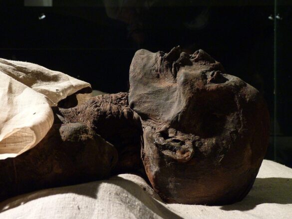 Oldest mummified remains discovered in Southeast Asia, scientists say – AP News