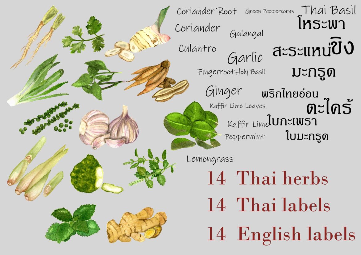 SNPS Showcases Potential of Thai Herbs on Global Stage at Food ingredients Asia 2025 – kaohoon international