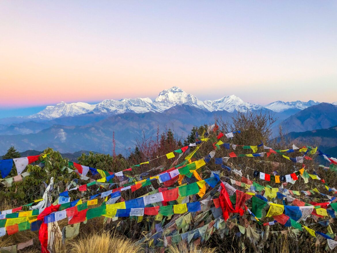 Nepal Verified for Rubella Elimination: WHO South-East Asia Region Achieves Major Milestone – World Health Organization (WHO)