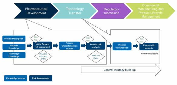 Establishment of a Pharmaceutical Strategic Platform： Succession of Sumitomo Pharma’s Business in Asia – marubeni.com