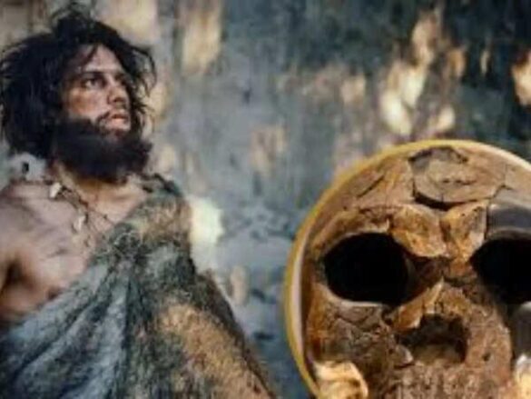 New ‘big head’ human species discovered in Asia, scientists reveal – Times of India