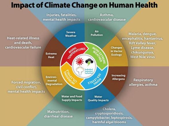 At COP29, WHO calls for climate-health actions and funding for Asia Pacific – World Health Organization (WHO)