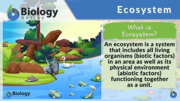 Life science ecosystems in Asia: biomedical innovation trends over the past decade – Nature