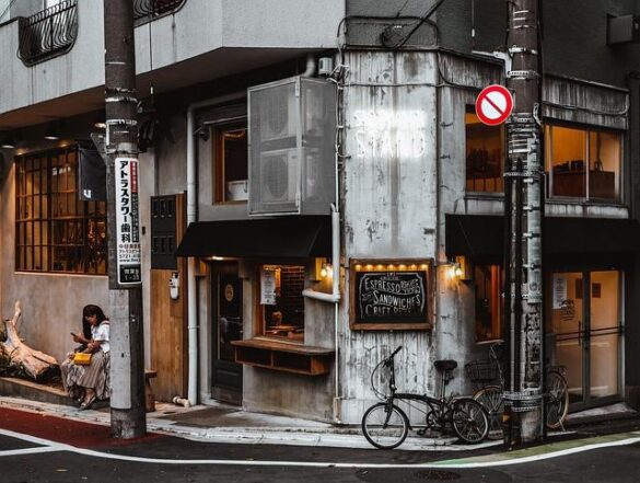 Japan’s Science Council reform deepens academic–government rift – East Asia Forum