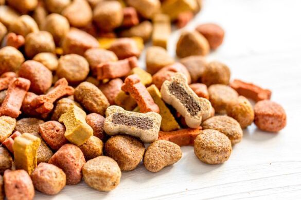 Petfood Forum Asia returns to Bangkok for 2025 conference – PetfoodIndustry