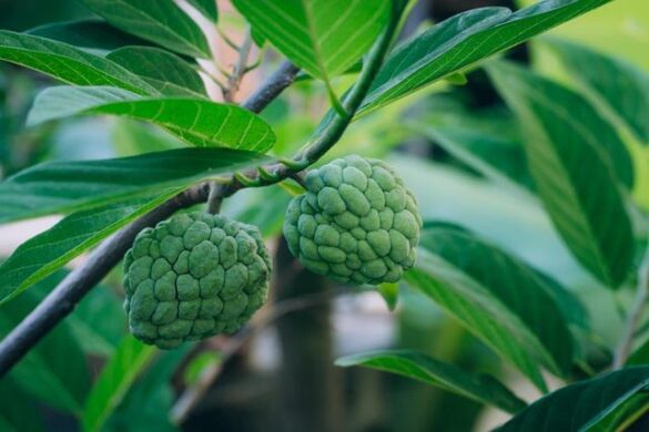 What your favourite Thai summer food says about you – Lifestyle Asia Hong Kong