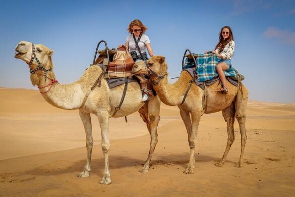 Gujarat To Unveil Asia’s First Desert-Themed Drive-Through Night Safari – Travel and Leisure Asia