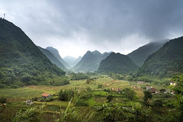 An immersive cultural and culinary tour of Vietnam – Travel Weekly