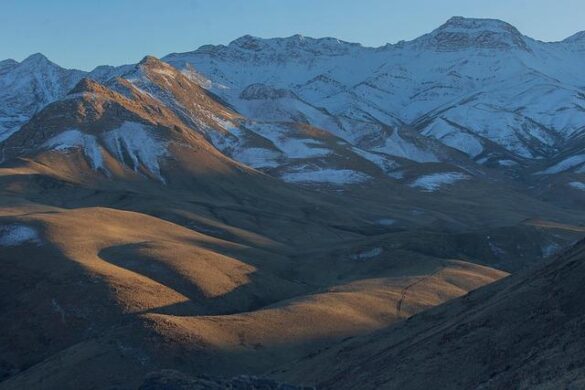 Beware the long reach of the Iran war in Asia’s food systems – Lowy Institute