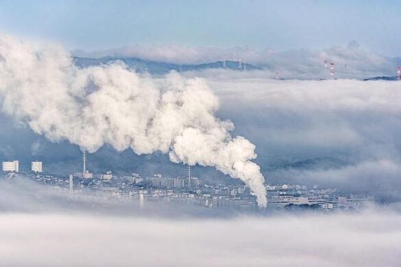 Climate adaptation policies in Central Asia overlook mental health – Scientific Reports – Nature